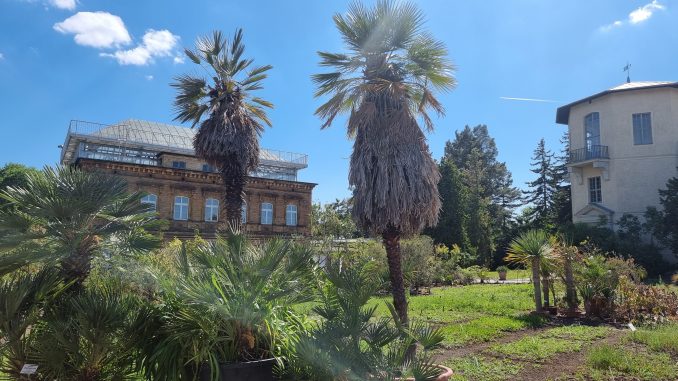 Botanischer Garten Halle