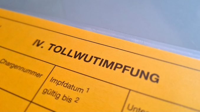 Tollwut