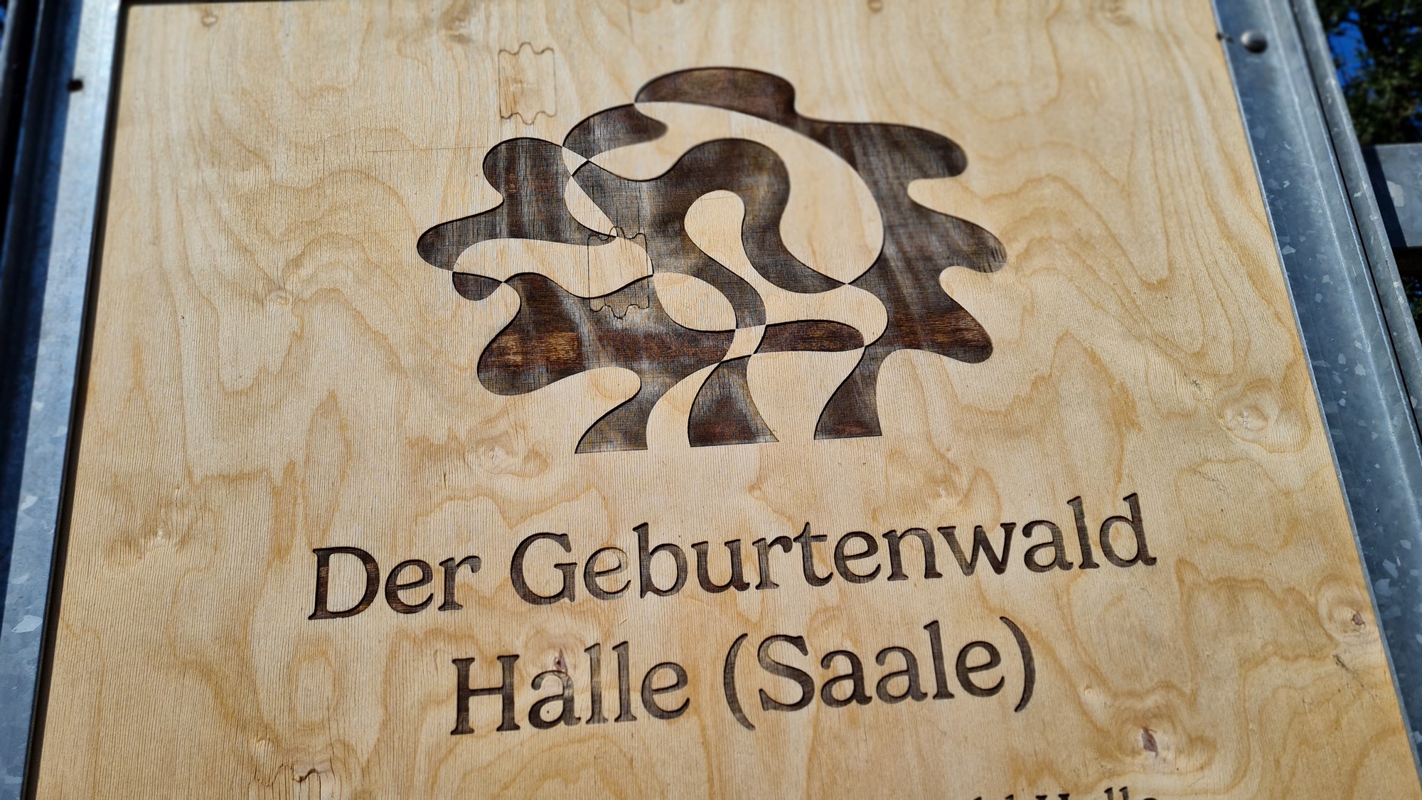 Vierte-Pflanzaktion-im-Geburtenwald-Halle-Saale-