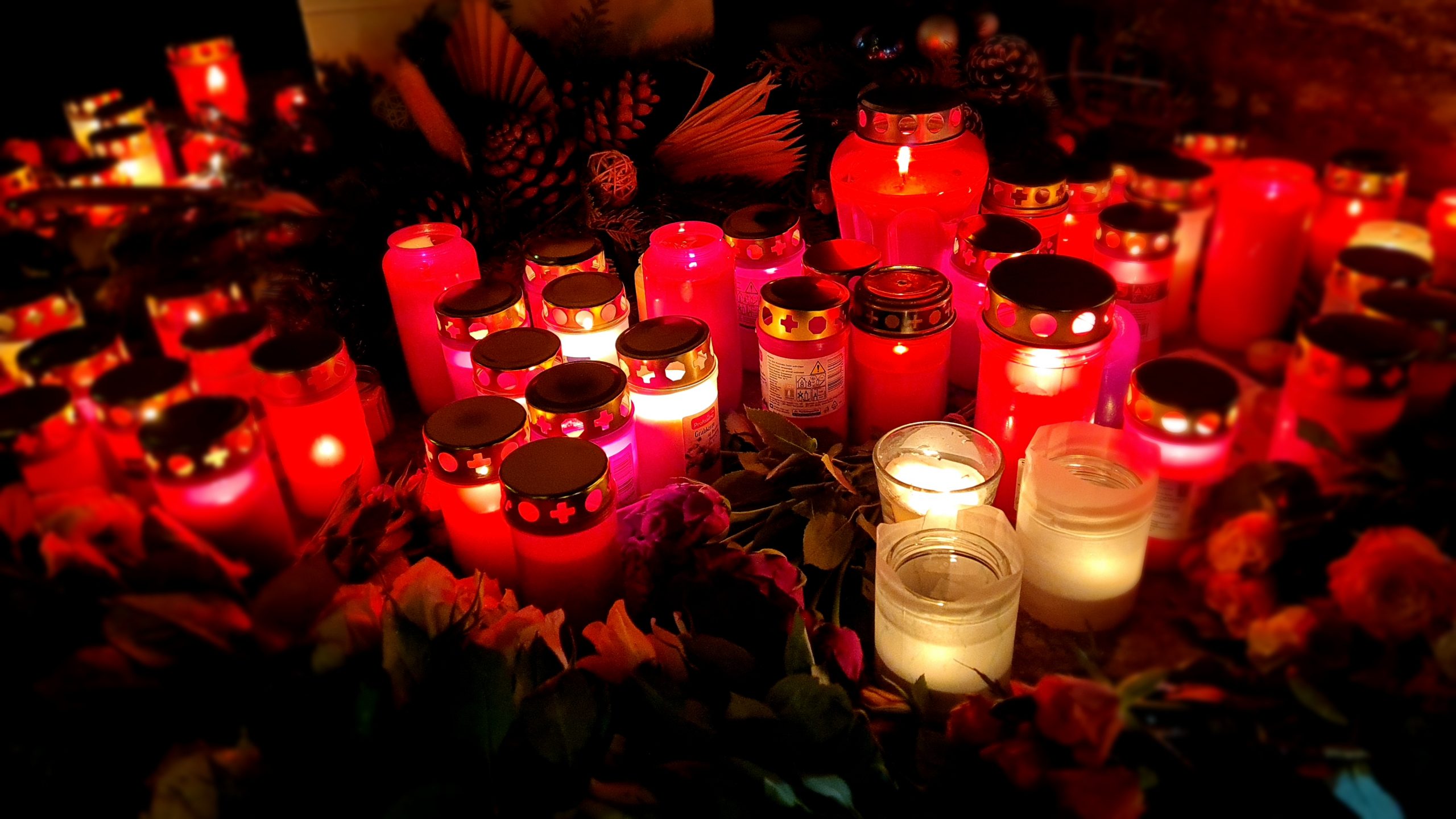 Mehr-als-450-Entsch-digungsantr-ge-nach-Anschlag-auf-Magdeburger-Weihnachtsmarkt-gestellt