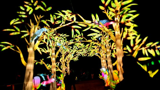 lichterwelten8 Lichterwelten Halle Zoo