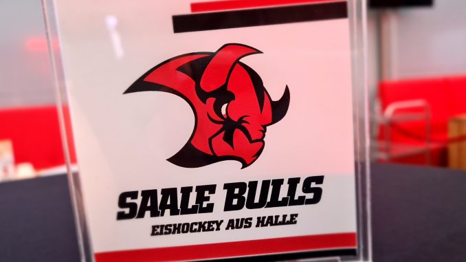 Saale Bulls
