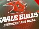 Saale Bulls