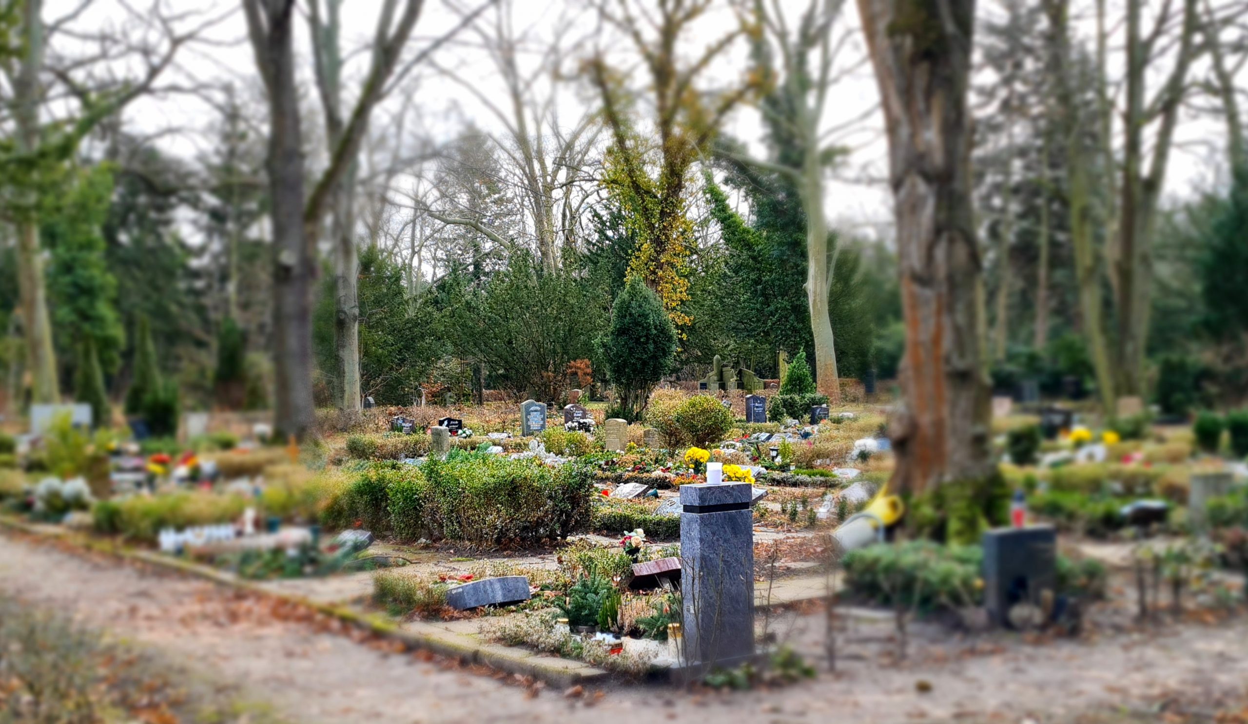 Steigende-Ums-tze-in-Sachsen-Anhalts-Bestattungsgewerbe