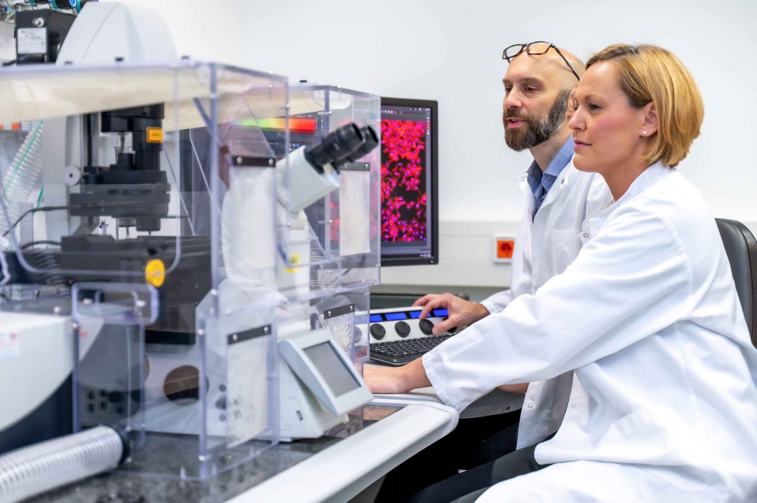 Vorklinische-Studie-Immuntherapie-bei-Eierstockkrebs-st-rken