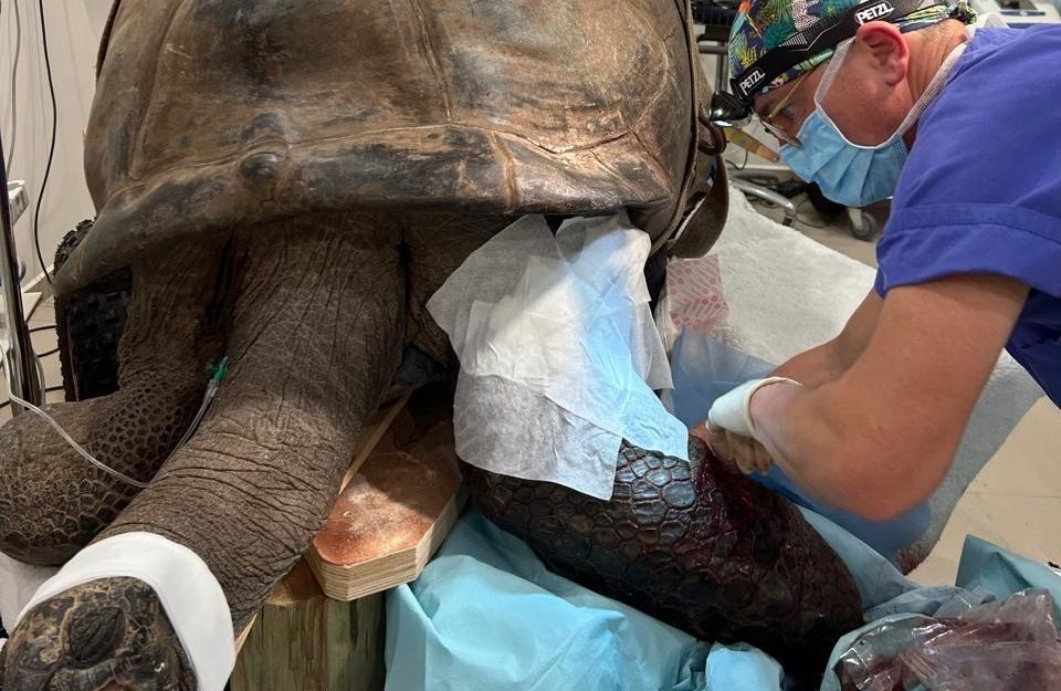 Notruf-von-den-Seychellen-an-das-Elisabeth-Krankenhaus