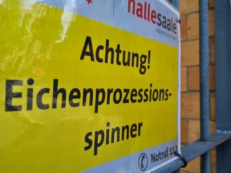 Eichenprozessionsspinner
