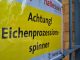 Eichenprozessionsspinner