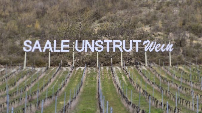 Weinanbau