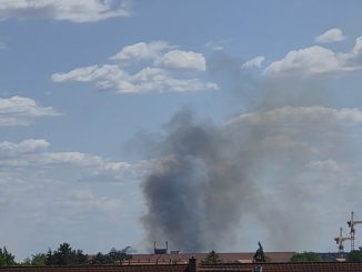brand