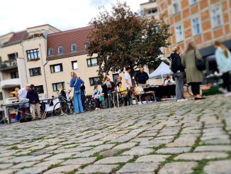 Flohmarkt Domplatz Halle (Saale)